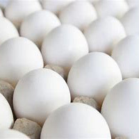Fresh eggs Fresh eggs