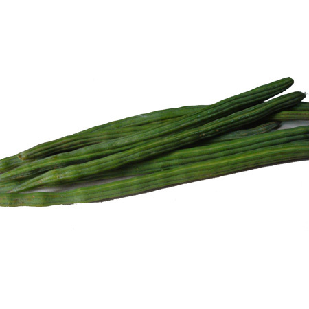 Drumstick