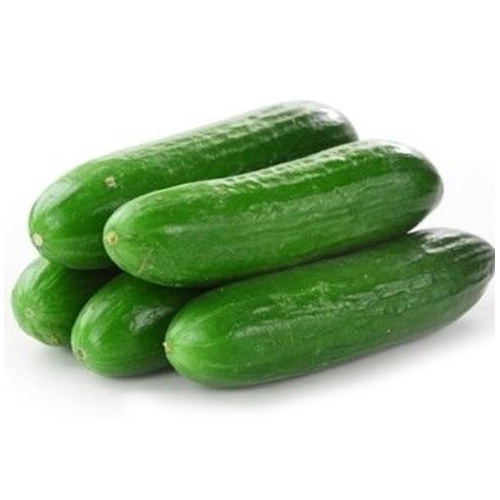 Fresh Cucumber