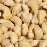Cashew Nuts Cashew Nuts