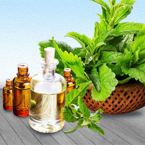 Peppermint Oil