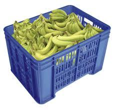 Plastic Fruit Crates