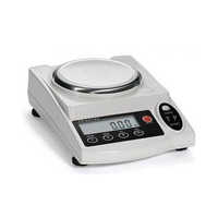 Electronic Precision Balance