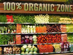 Fresh Vegetables