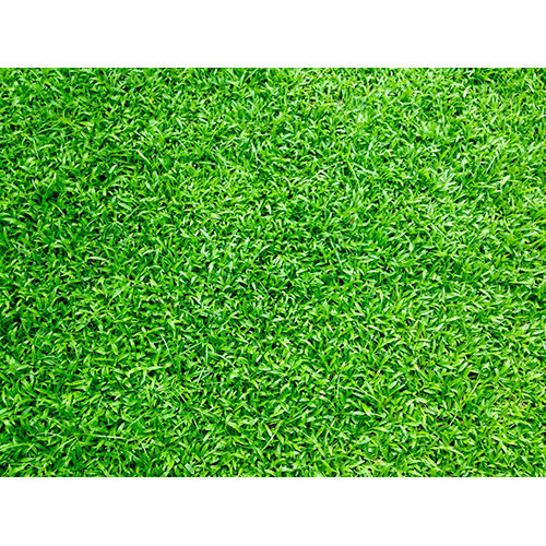 Standard Shades Card Artificial Grass Carpet Flooring