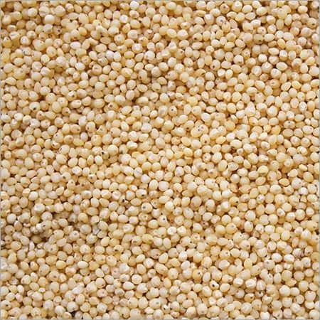 2nd Grade Millet