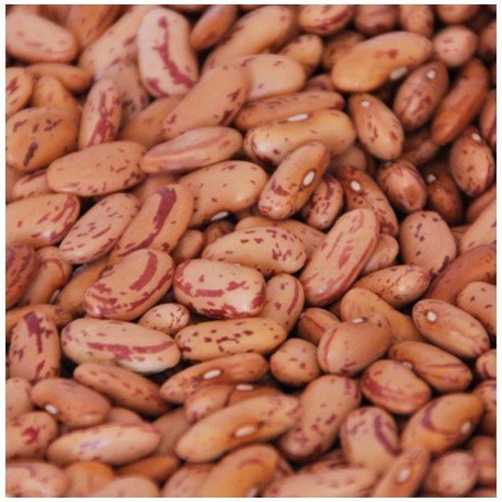 Organic Rajma Chitra