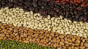 Certified Organic Lentils