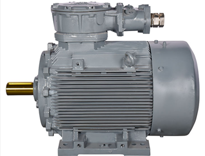 Blue Ie2 & Ie3 Flame Proof Motors