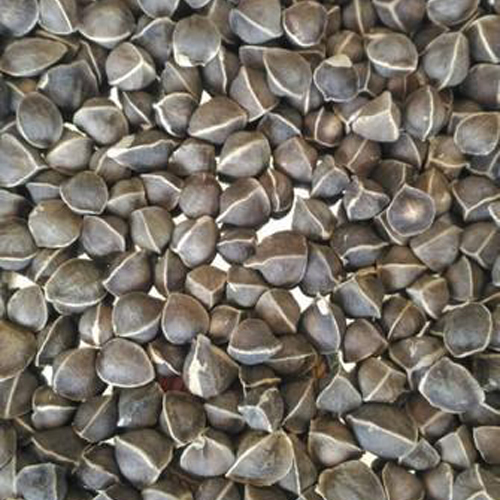 Pure Moringa Seeds