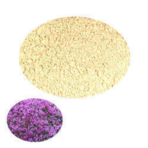 Astragalus Extract Powder