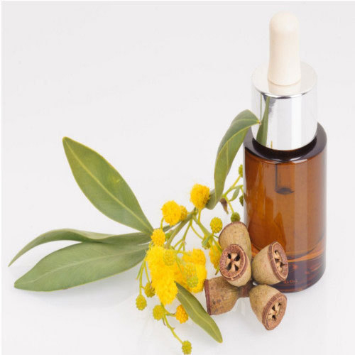 Eucalyptus Oil