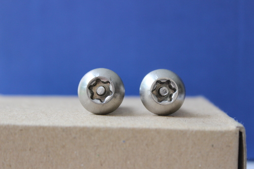 PIN TORX Security Screw Button Head