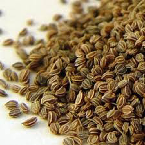 Celery Seed Spice Oil