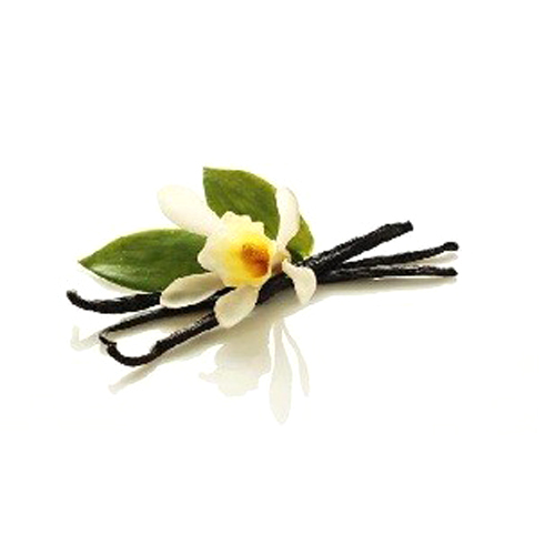 Vanilla Oil - 3% Dilution in Pure Jojoba Oil | 100% Purity, Strong Warm Odour, 3-Year Shelf Life