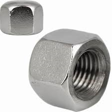 Hex CAP Nuts