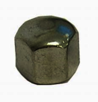 Hex CAP Nuts