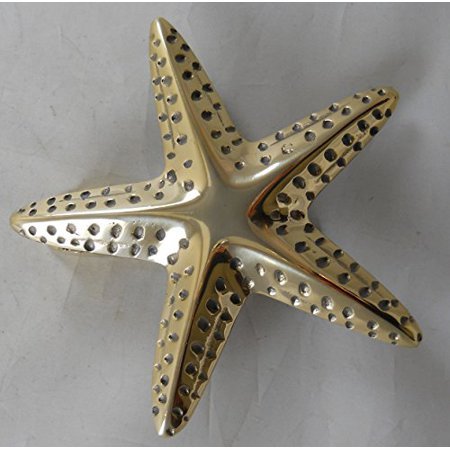 Star Fish Door Knocker