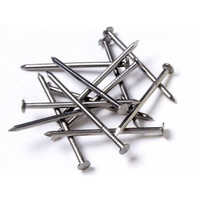 Common Nails - Galvanized Steel, Various Lengths & Shank Diameters | Rust Resistant, High Efficiency, Precision Designed