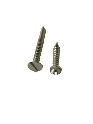 Stainless Steel Slotted Head Screws