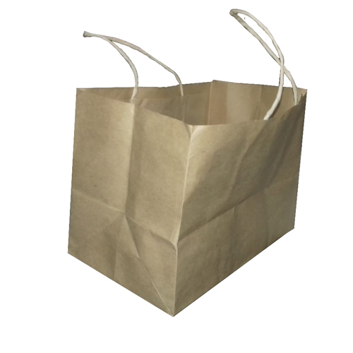 Loop Handle Plain Paper Bag