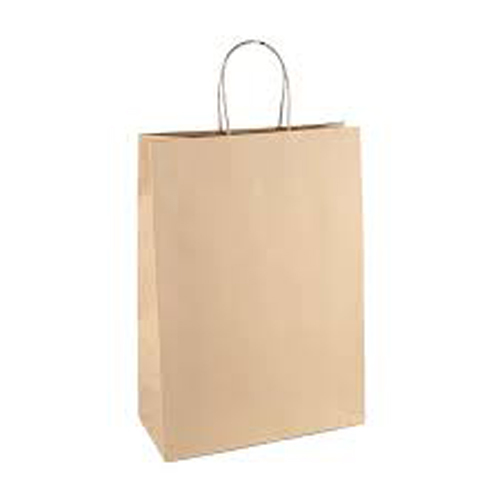 Paper Carry Bag