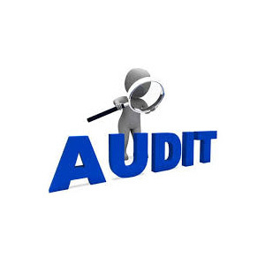 Income Tax Audit