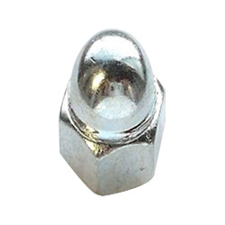 Stainless Steel Acorn Cap Nut