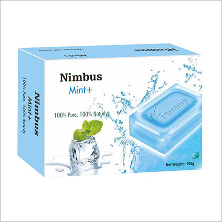 100Gm Menthol Soap