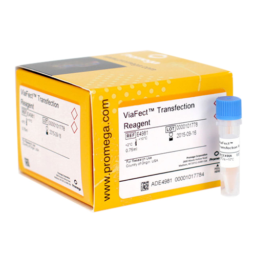 Transfection Reagent