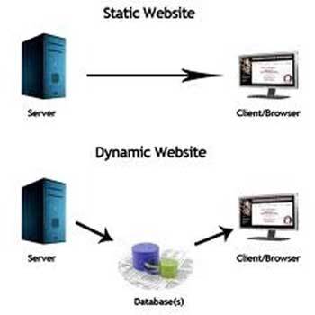 Dynamic Website Development Services