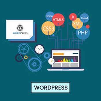 Customized Development Solution
