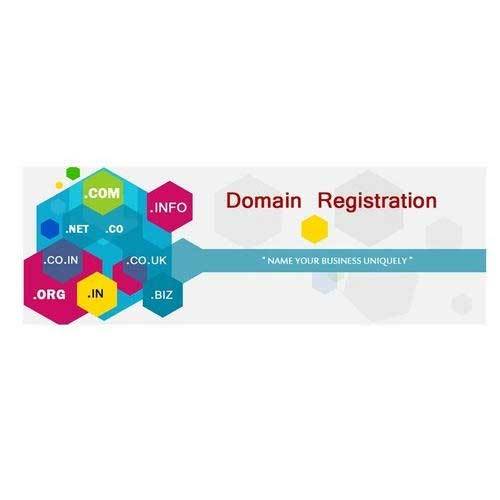 Domain Renewal Service