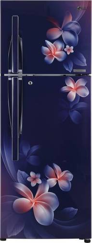 Blue Plumeria Lg 308 L Frost Free Double Door 4 Star Refrigerator