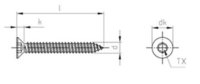 Torx CSK Self Tapping Screw SS-304