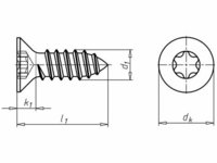 Torx CSK Self Tapping Screw SS-304