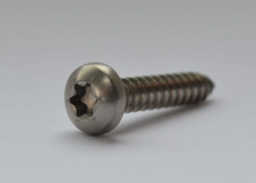TORX PAN Self Tapping Screws SS-304