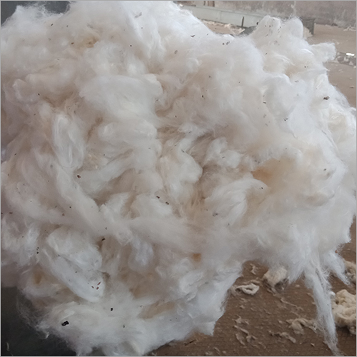 Giza 94 Raw Cotton