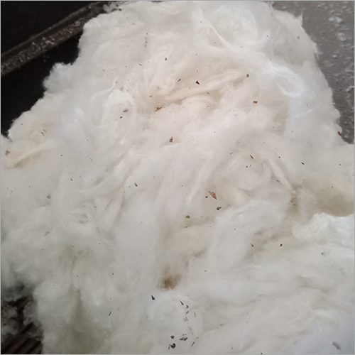 Egyptian Raw Cotton