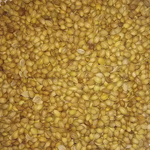 Dry Coriander Seeds