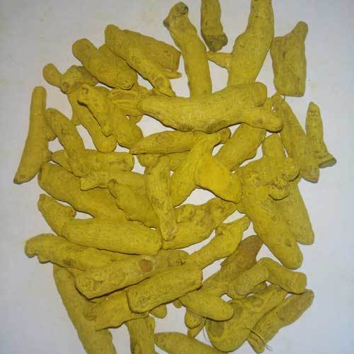 Natural Turmeric Finger