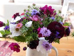 Cut Flowers