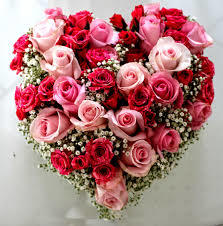 Decorative Cut Flower Rose
