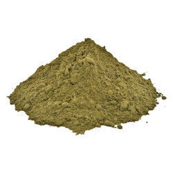 Cassia Angustifolia Powder