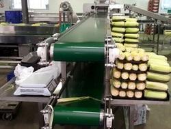 Oil Resistant Conveyor Belts