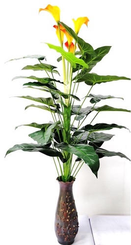 Calla Lily Artificial Flower - Plastic & Latex 150 cm x 100 cm | Durable Eco-Friendly Easy to Clean Non-Toxic Perfect for Indoor Decor