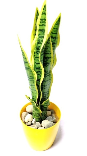 Sansaveria Artificial Plant - Fabric Material, 45cm x 18cm | Non-Toxic, Easy to Install, Lightweight, Durable, Eco-Friendly Decor Solution for Indoor Spaces