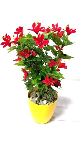 Artificial Flower - Eco-Friendly Plastic Meaty Plant 60 cm x 60 cm | Ideal for Ceremony Party Wedding and Home Decoration