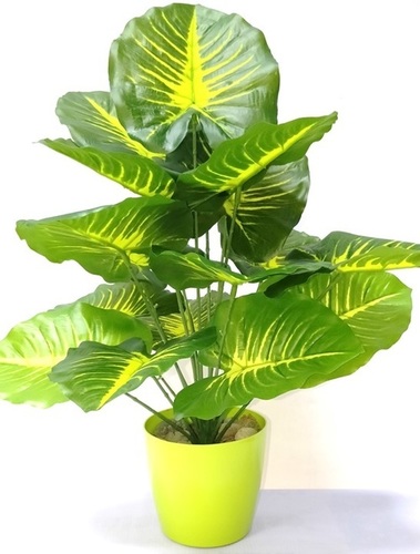 Artificial Plant - Synthetic Plastic, 60 cm x 60 cm | Easy to Clean, Eco-Friendly, Ideal for Indoor Decor in Hotels, Offices, Cafeterias