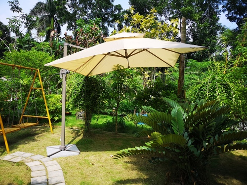 Umbrella Umbrella